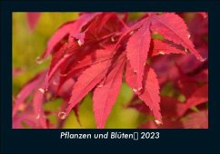 Pflanzen und Blüten 2023 Fotokalender DIN A5 - Tobias Becker