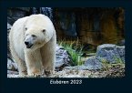 Eisbären 2023 Fotokalender DIN A5