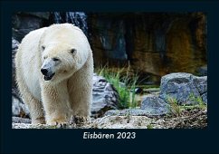 Eisbären 2023 Fotokalender DIN A5 - Tobias Becker