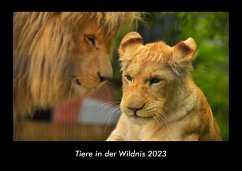 Tiere in der Wildnis 2023 Fotokalender DIN A3 - Tobias Becker