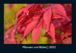Pflanzen und Blüten 2023 Fotokalender DIN A4 - Tobias Becker