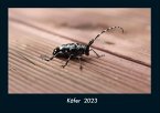 Käfer 2023 Fotokalender DIN A4