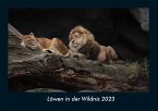 Löwen in der Wildnis 2023 Fotokalender DIN A4