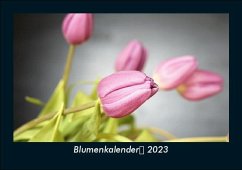 Blumenkalender 2023 Fotokalender DIN A5 - Tobias Becker