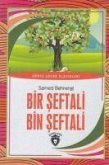 Bir Seftali Bin Seftali