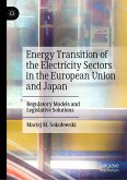 Energy Transition of the Electricity Sectors in the European Union and Japan (eBook, PDF)
