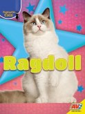 Ragdoll