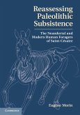 Reassessing Paleolithic Subsistence