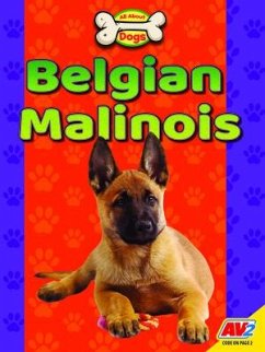 Belgian Malinois - Gillespie, Katie