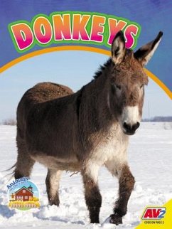 Donkeys - Wilson, Sierra