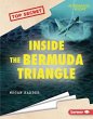 Inside the Bermuda Triangle - Bild 1