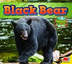 Black Bear Black Bear