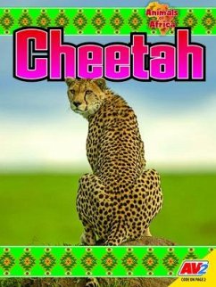 Cheetah - Gillespie, Katie