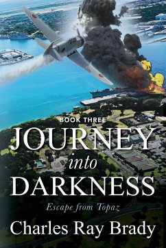 JOURNEY INTO DARKNESS - Brady, Charles Ray