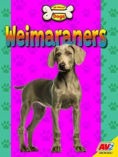 Weimaraners - Kissock, Heather