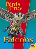 Falcons