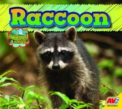 Raccoon - McGill, Jordan