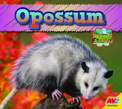 Opossum - McGill, Jordan