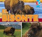 El Bisonte (Bison)