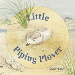 Little Piping Plover - Roach-Evans, Joanne