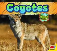 Coyotes - McGill, Jordan