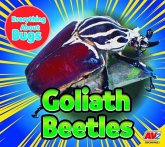 Goliath Beetles