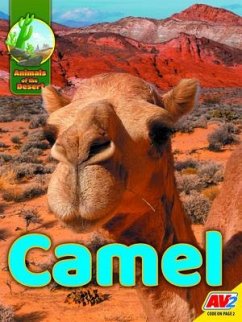 Camel - Durrie, Karen