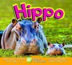 Hippo