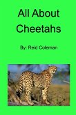 All About Cheetahs