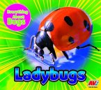 Ladybugs