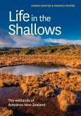 Life in the Shallows: The Wetlands of Aotearoa New Zealand