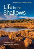 Life in the Shallows