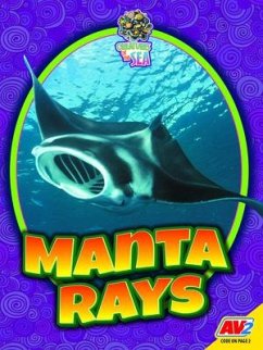 Manta Rays - Wearing, Judy