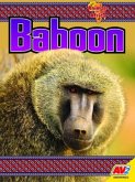 Baboon