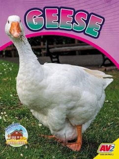 Geese - Wilson, Sierra
