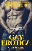 Gay Erotica - Volume 5 (eBook, ePUB)