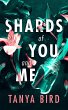 Shards of You and Me (eBook, ePUB) - Bild 1