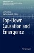 Top-Down Causation and Emergence - Bild 1