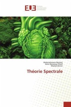 Théorie Spectrale - BENIANI, Abderrahmane;Benaissa Cherif, Amin;Zennir, Khaled