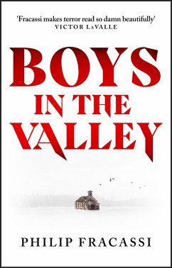 Cover Boys in the Valley (eBook, ePUB)