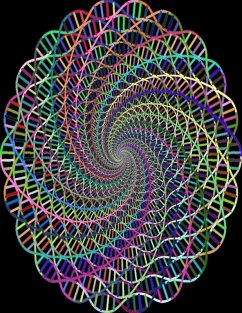 Handbook: The Duty for 