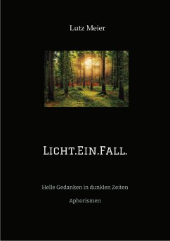 Licht.Ein.Fall. (eBook, ePUB) - Meier, Lutz