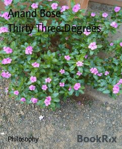 Cover Thirty Three Degrees (eBook, ePUB)