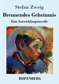 Cover Brennendes Geheimnis