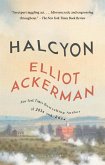 Halcyon (eBook, ePUB)