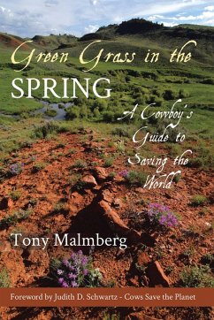 Green Grass in the Spring (eBook, ePUB)