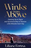 Winks from Above (eBook, ePUB)