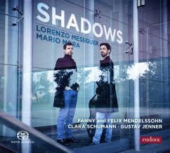 Shadows-Schatten - Meseguer,Lorenzo/Mora,Mario