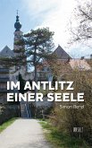 Im Antlitz einer Seele (eBook, ePUB)