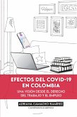 Efectos del Covid-19 en Colombia (eBook, ePUB)